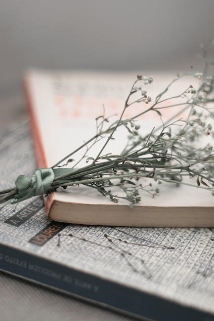 book of art pdf