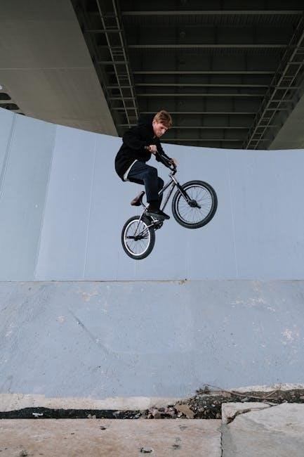 height guide for bikes