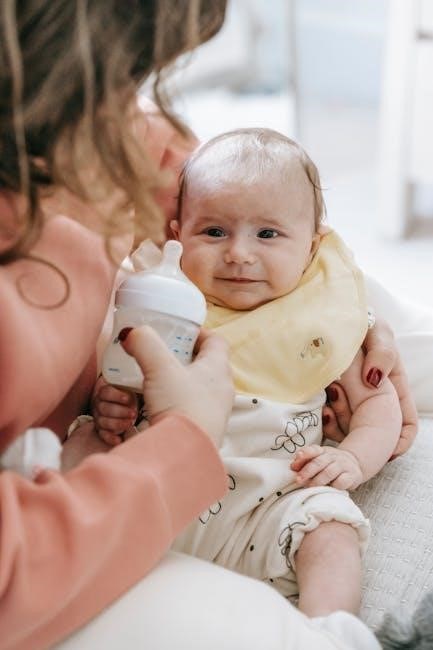 baby brezza bottle warmer instructions