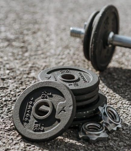 optimal weight 5 & 1 plan guide pdf free download