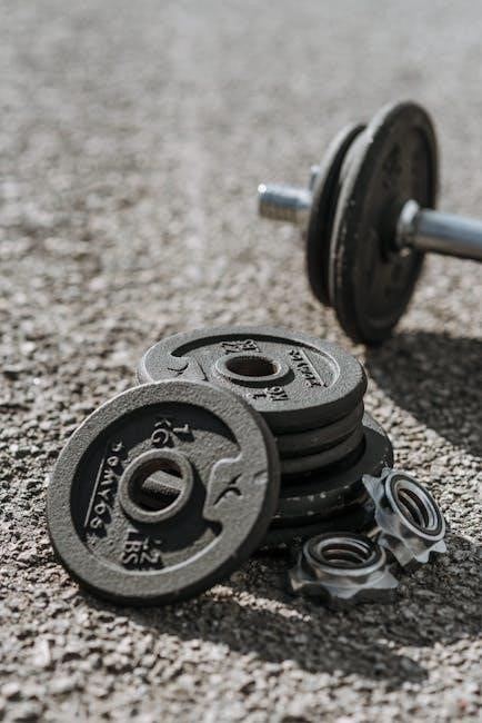 optimal weight 5 & 1 plan guide pdf free download