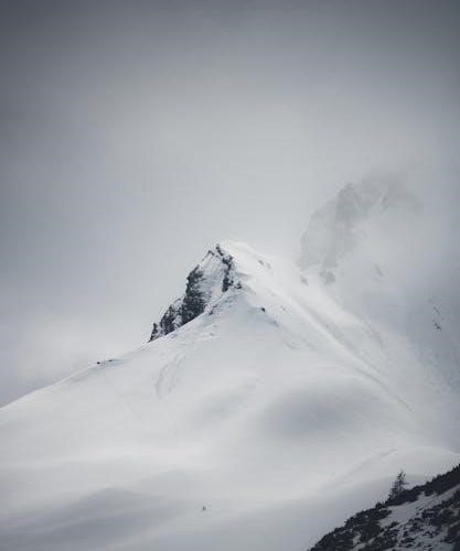 vineland assessment pdf free download