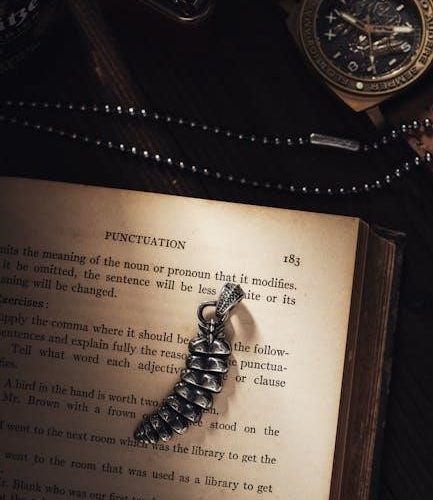 english grammar in use book pdf